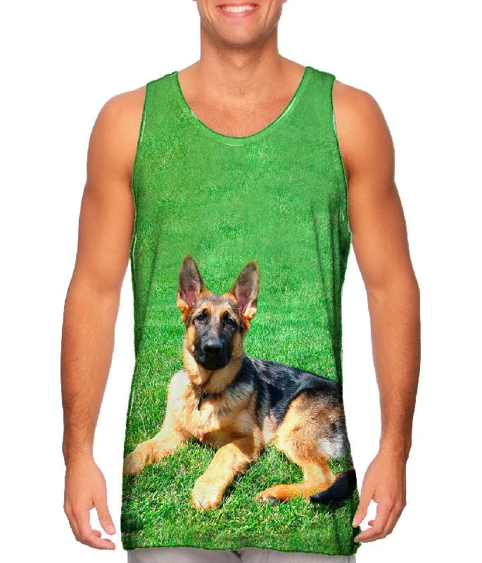 German Shepherd On Grass