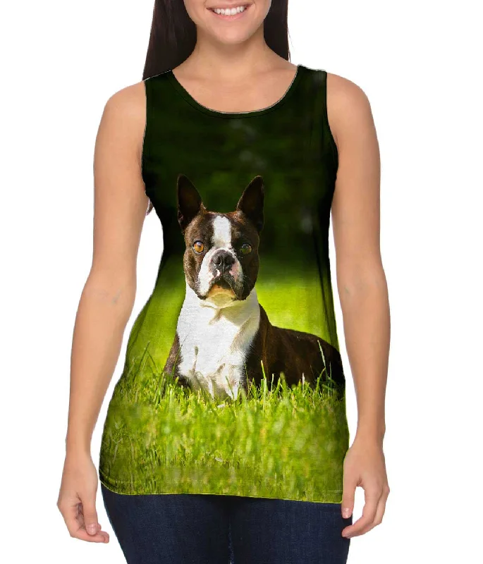 Giddy Boston Terrier